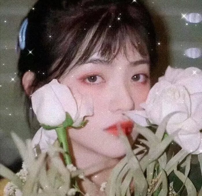 隐形姐妹